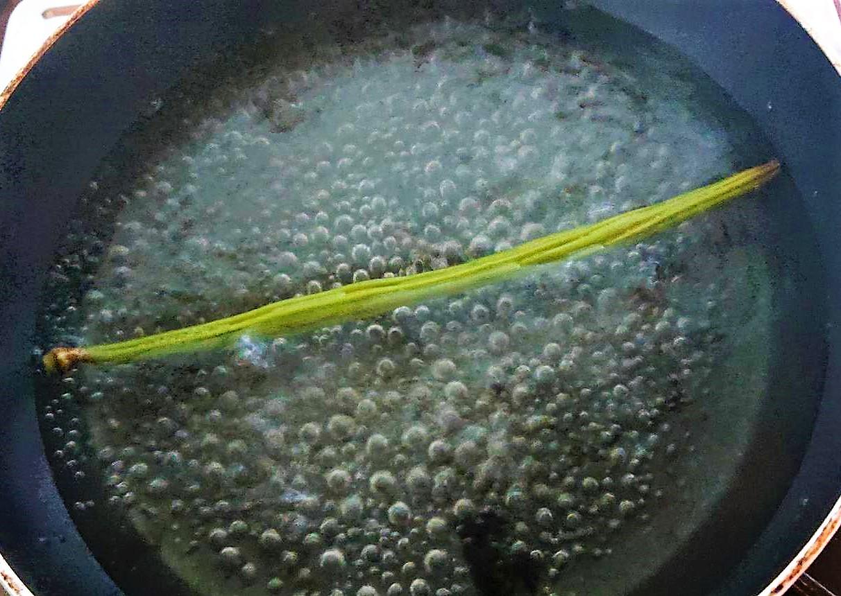百花(モリンガ)のサヤ料理に挑戦しました!