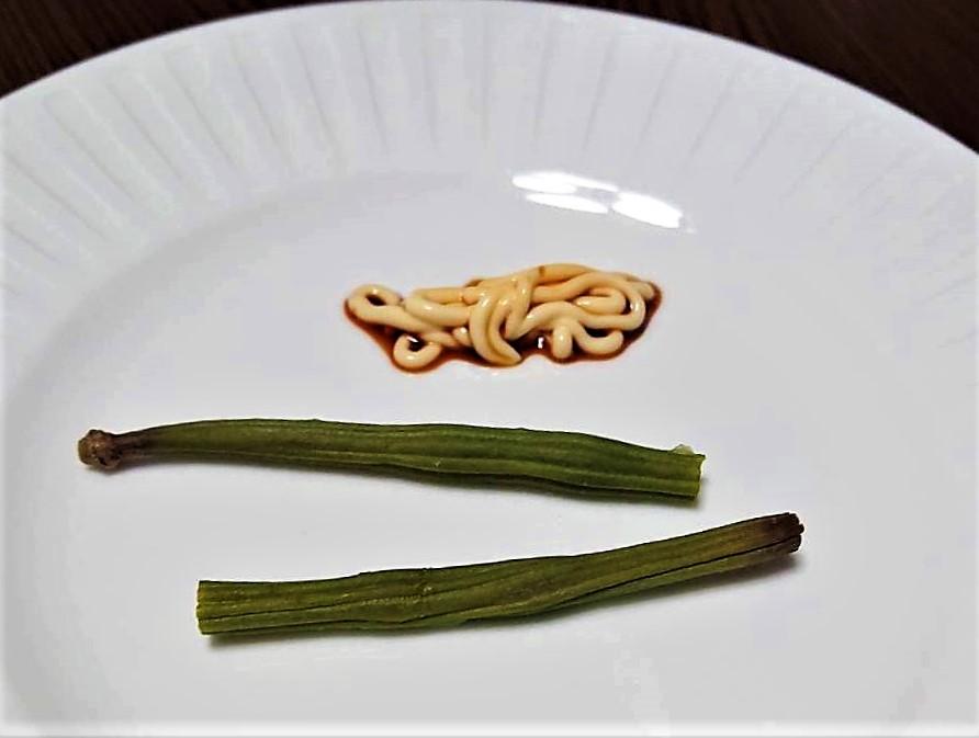 百花(モリンガ)のサヤ料理に挑戦しました!