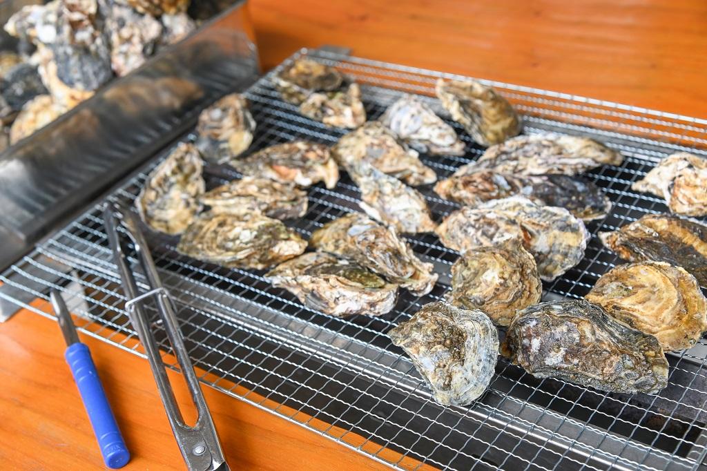 京阪神からもお客さまが集まる 播磨灘の1年牡蠣の食べ放題BBQ｜JFぼうぜ姫路まえどれ市場