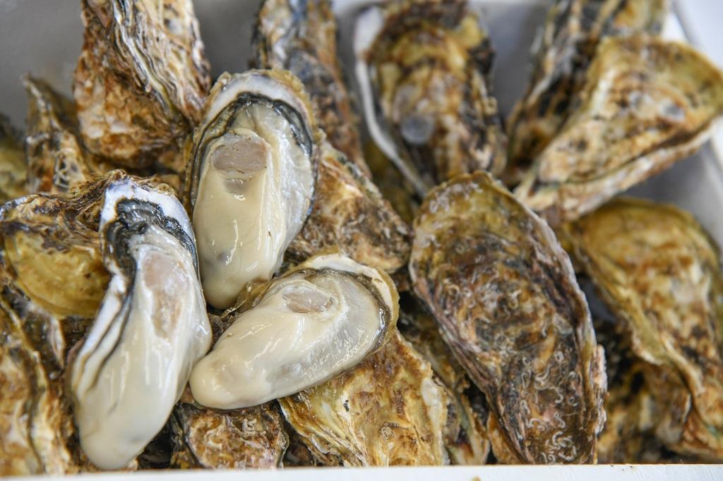 1年を通して牡蠣を提供する 牡蠣マイスターな水産会社|浜中水産