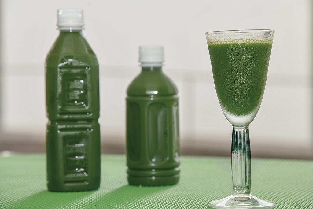 無農薬&有機栽培のケール100% 新鮮搾りたての青汁はいかが?|しぼりたて青汁