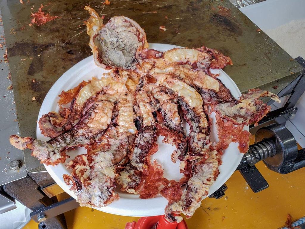 タコのペッチャンコ焼き