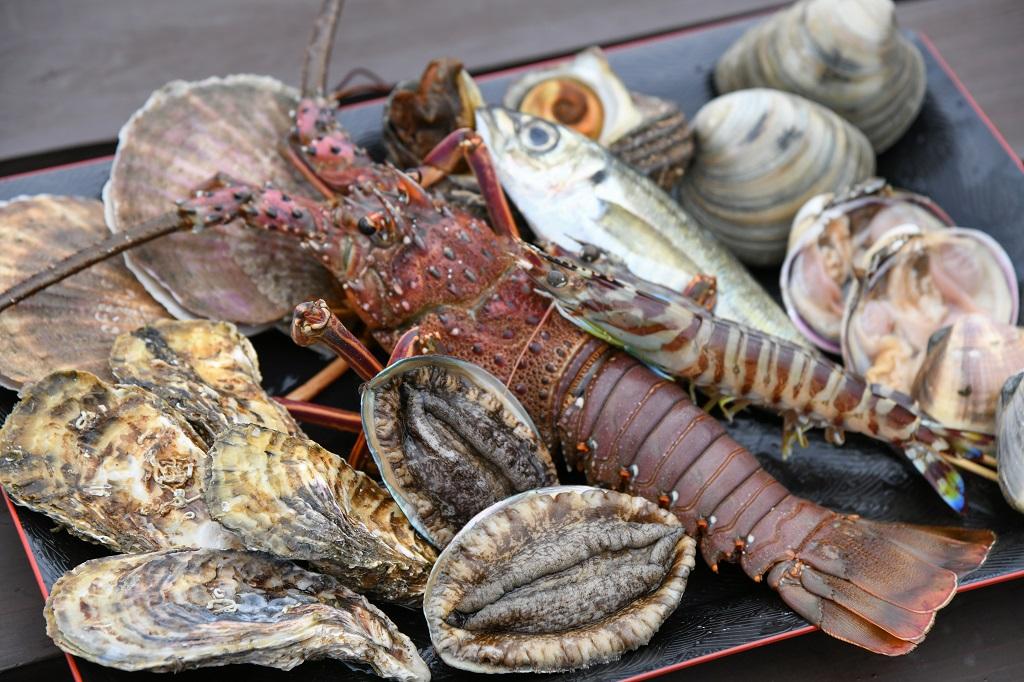 魚稚の海鮮の写真