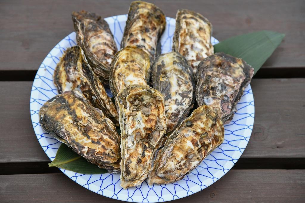 魚稚の一年牡蠣の写真