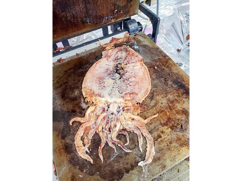 イカのぺっちゃんこ焼き