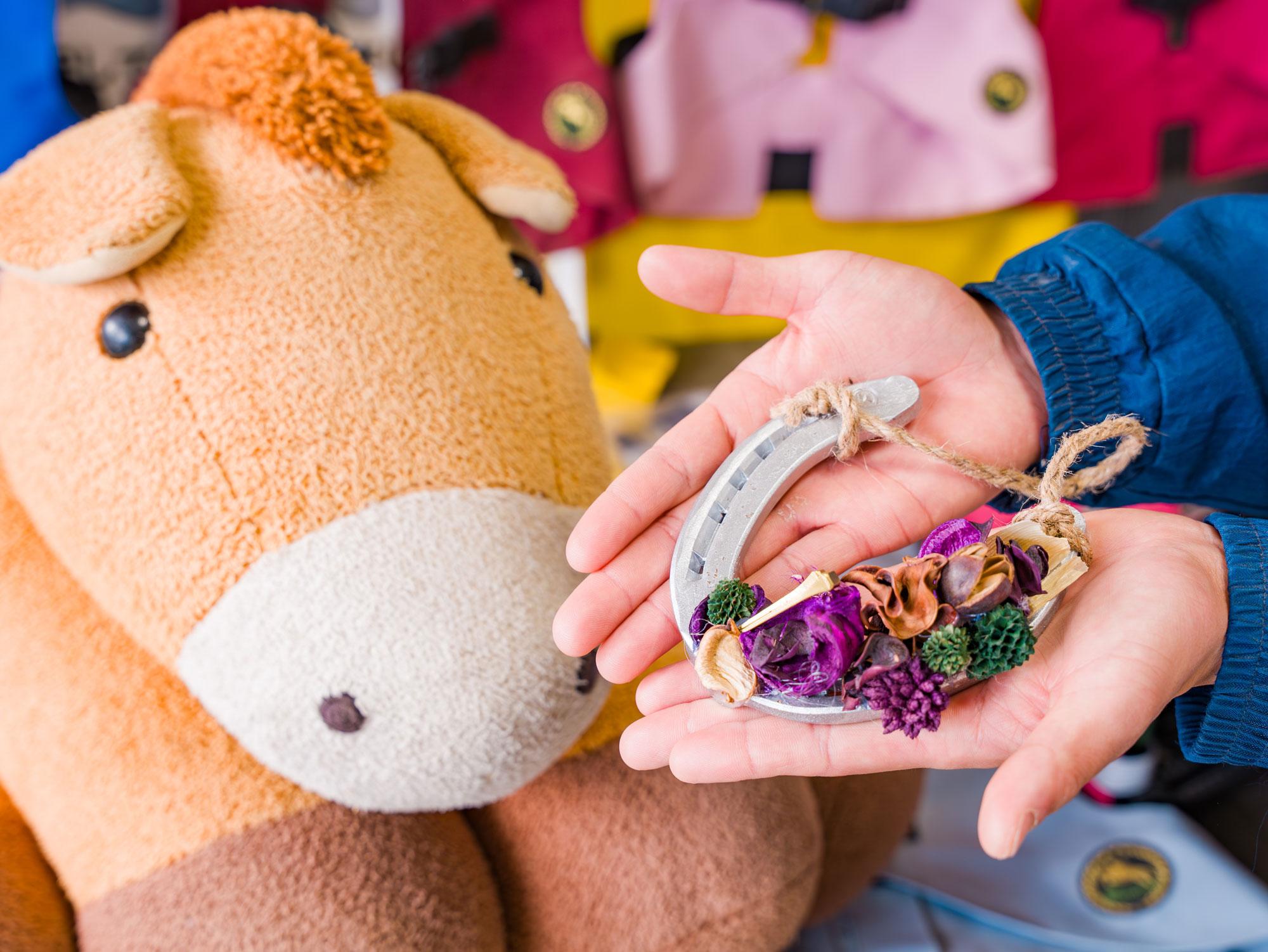 ニッケ乗馬クラブ・クレイン加古川 