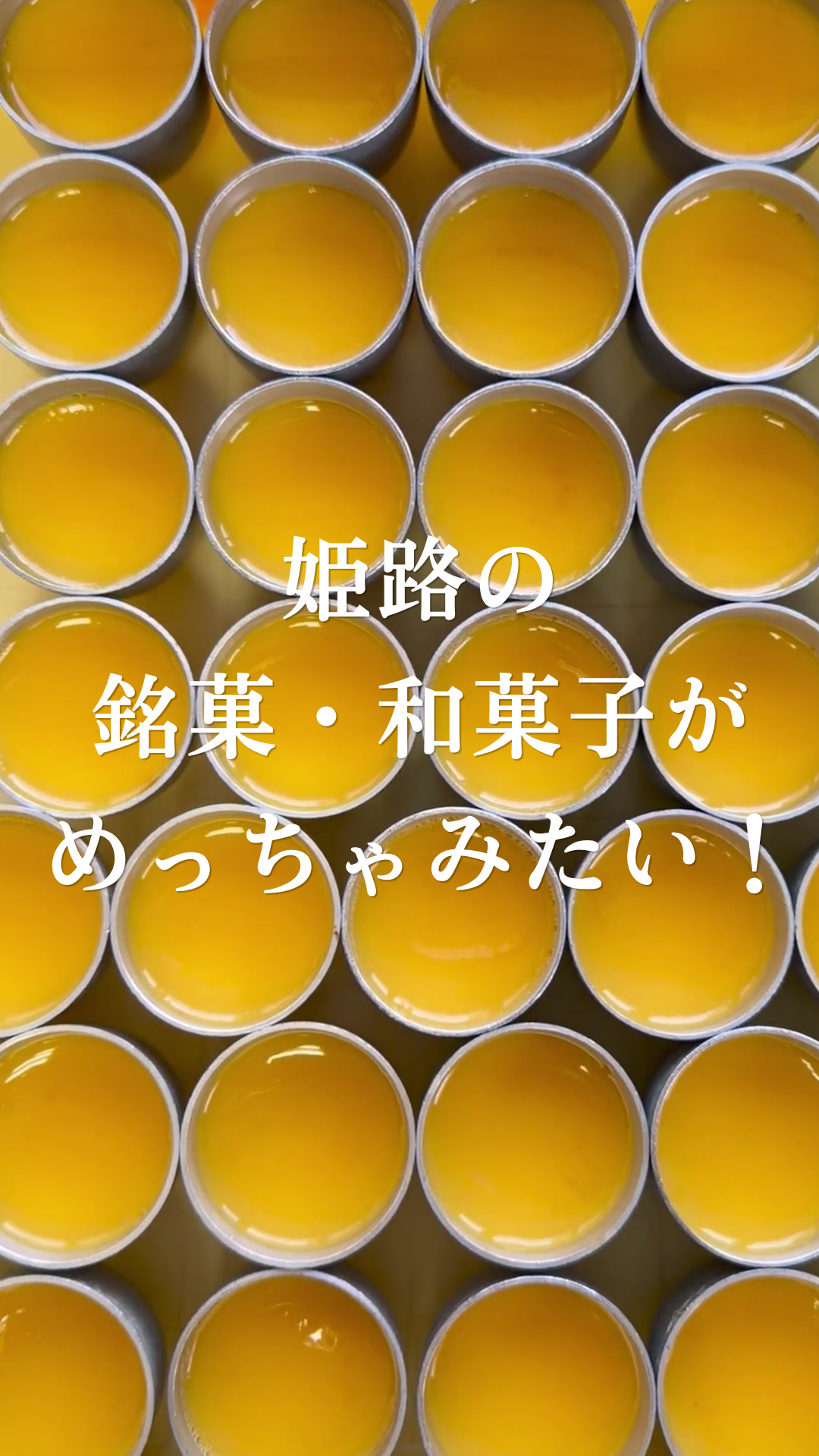 関連する特集記事: 386172