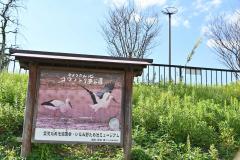 ひょうたん池 コウノトリ夢公園