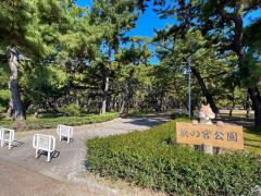 浜の宮公園