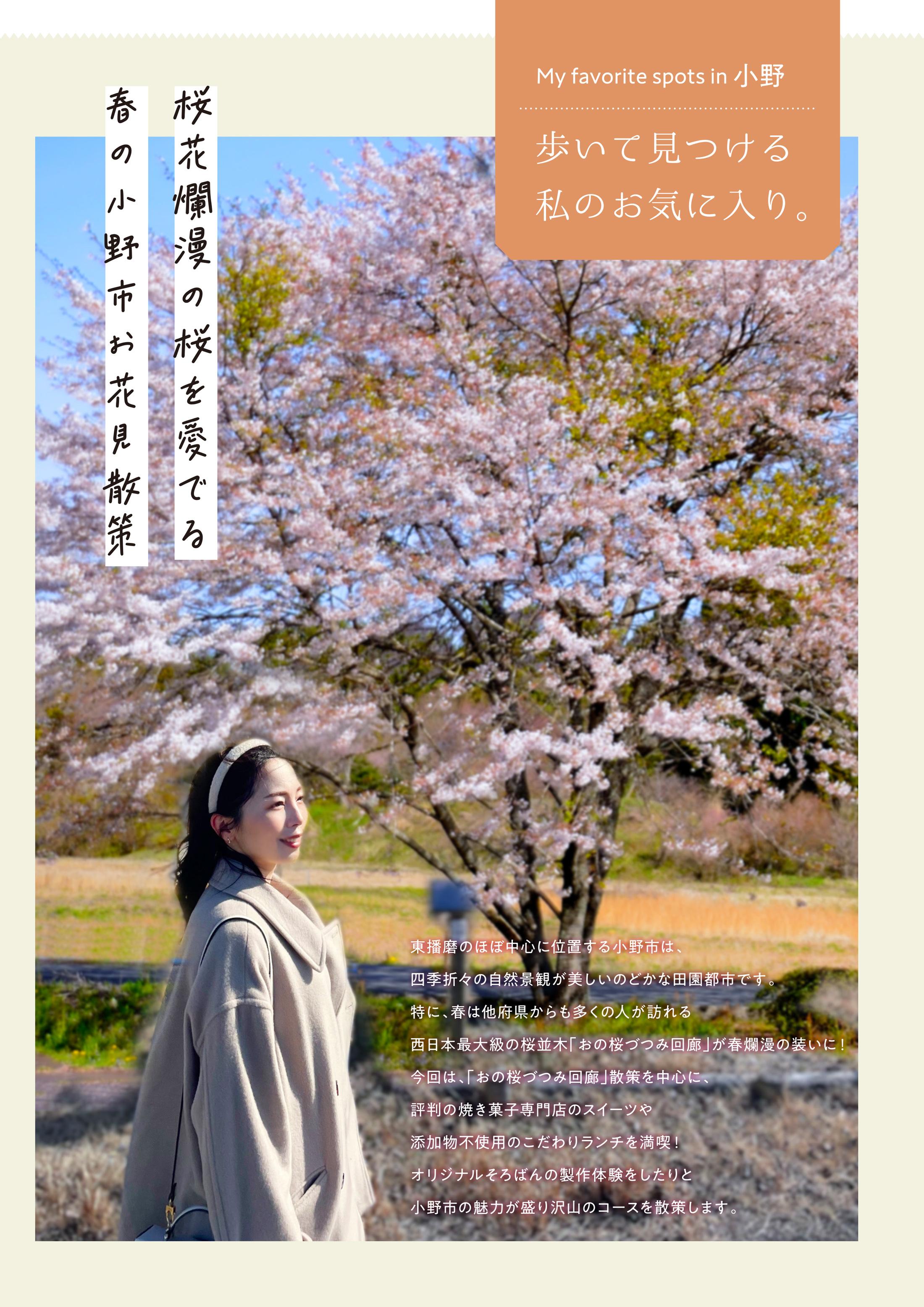 【小野市】桜花爛漫の桜を愛でる春の小野市お花見散策